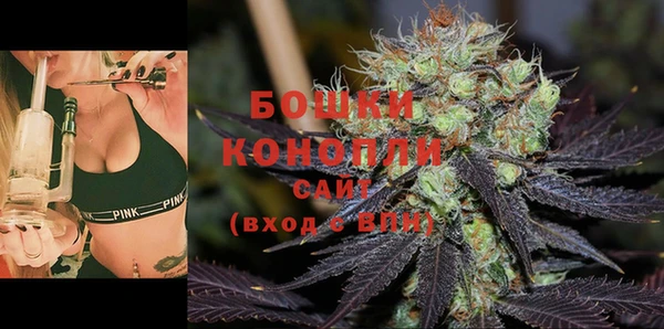 винт Богданович