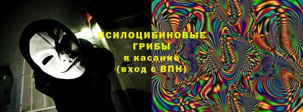 винт Богданович